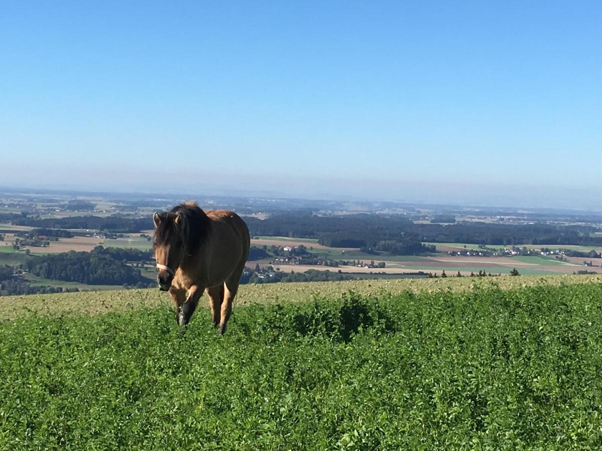 Vila Hochhubergut Aschach an der Steyr Exteriér fotografie