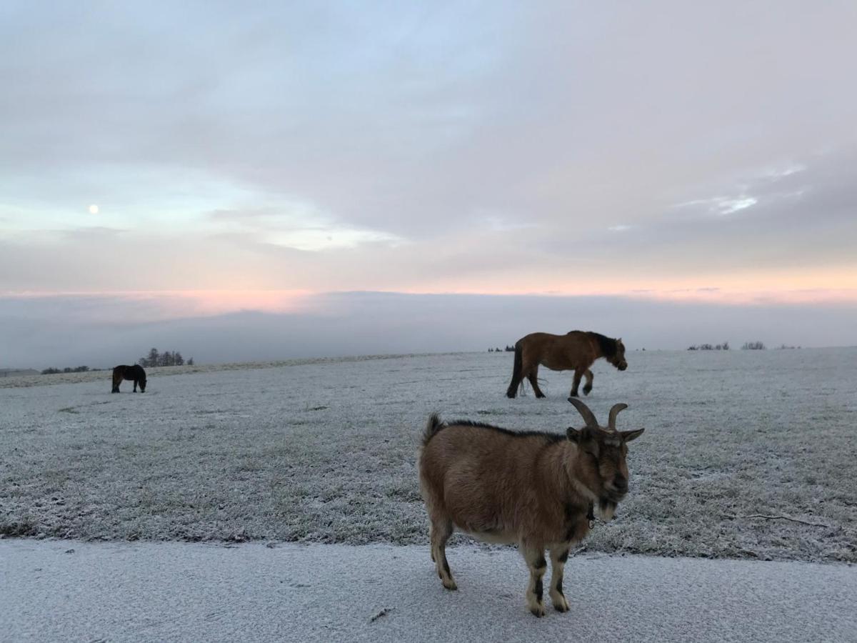 Vila Hochhubergut Aschach an der Steyr Exteriér fotografie