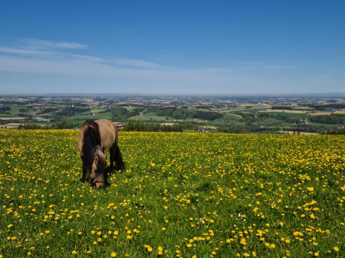 Vila Hochhubergut Aschach an der Steyr Exteriér fotografie